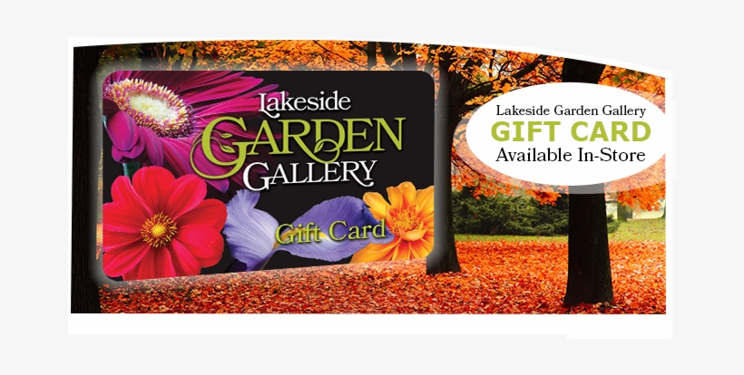 Lakeside Garden Gallery Logo - Leinwandbild Rot Gefärbte Baumallee Im Herbst Pixxprint, transparent png #958446