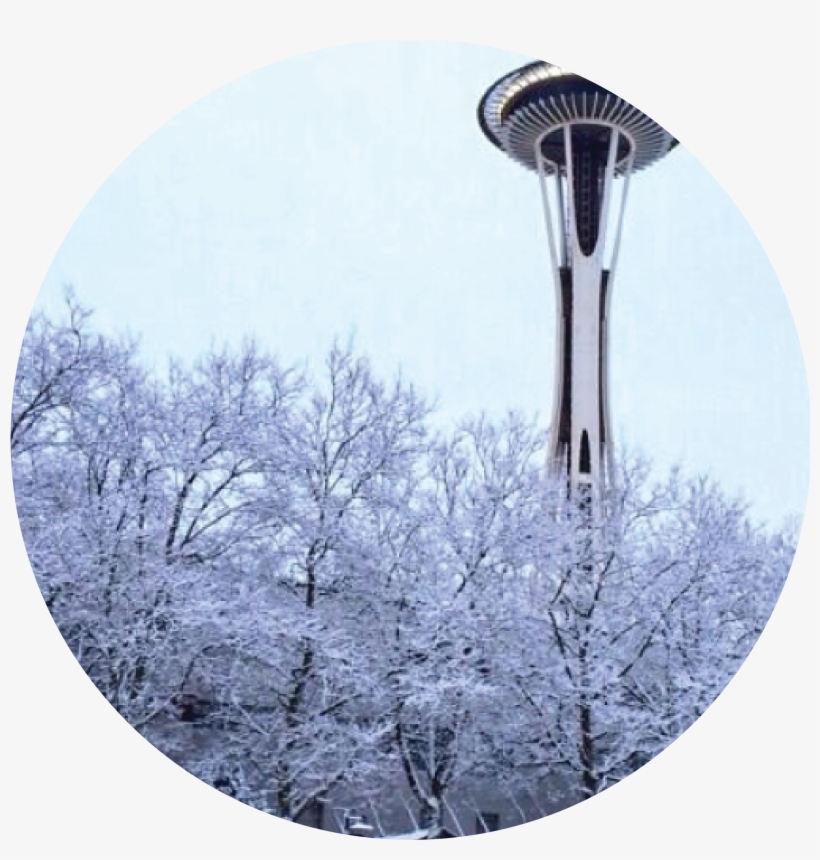 Enjoy Tours Of Some Of Seattle's Most Famous Sights - Space Needle, transparent png #959469