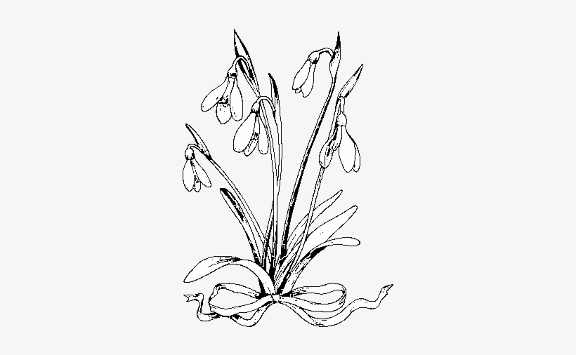 Dibujo De Flor Copo De Nieve Para Colorear - Drawing, transparent png #959568