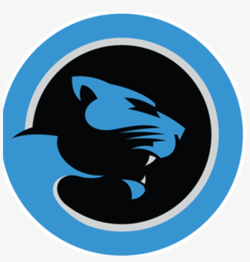 Panthers Article Round-up, transparent png #9501205