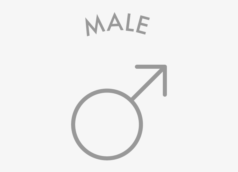 Male - Circle, transparent png #9501391