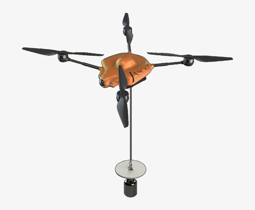 Jasco Seahawk Chimera, transparent png #9501445