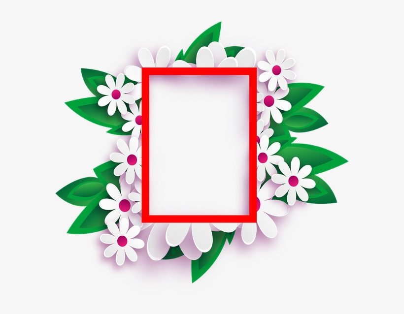 Photo Frame, Transparent Background, Flowers, March - Facebook Frame Design Png, transparent png #9501544