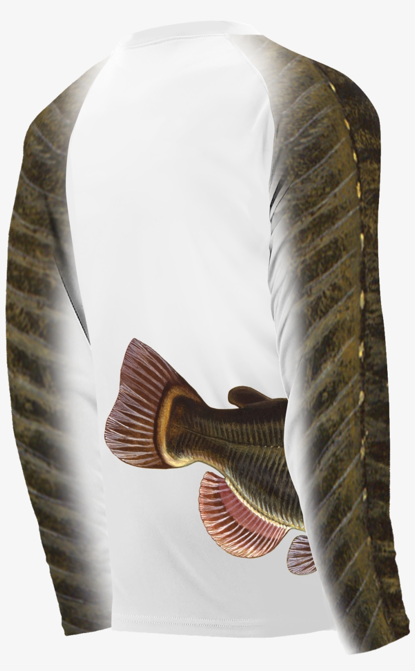 Wrap Around Catfish - Sailfish, transparent png #9501582