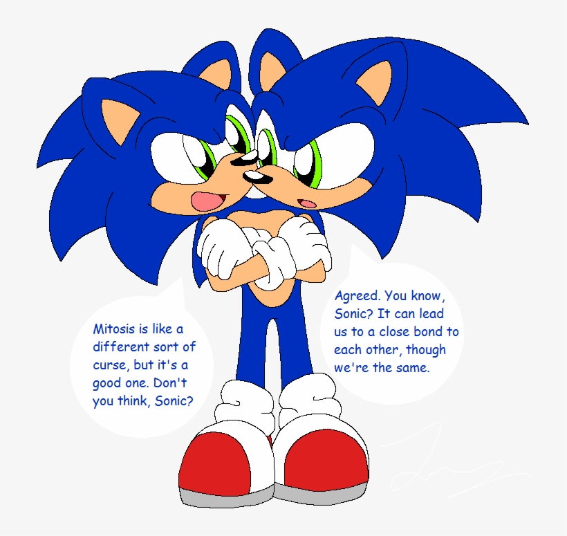 Two-headed Sonic - Cartoon, transparent png #9501975