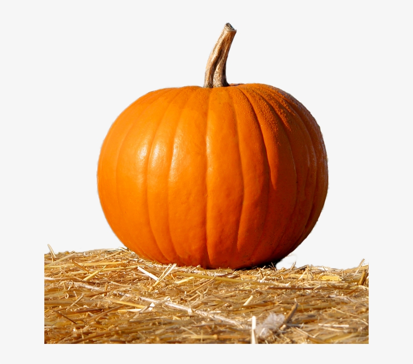 Pumpkin, Straw, Isolated, Fruit, Deco, Orange, Nature - Pumpkin In Straw, transparent png #9502503