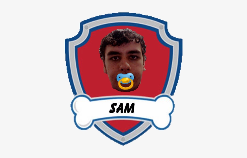 A Picture Of Him During His Time With Paw Patrol - Paw Patrol Png Logo, transparent png #9504523