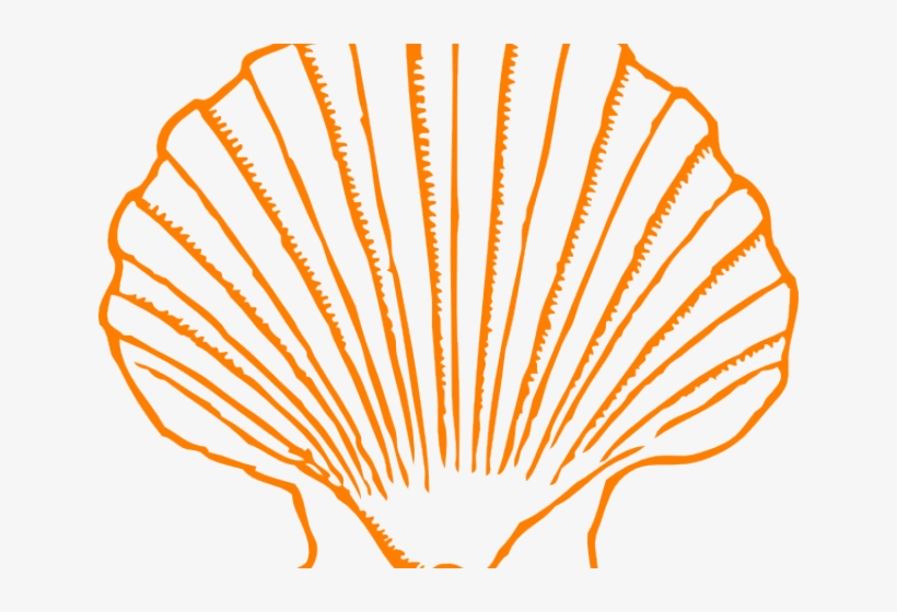 Vector Black And White Download Free On Dumielauxepices - Shell Clip Art, transparent png #9505005