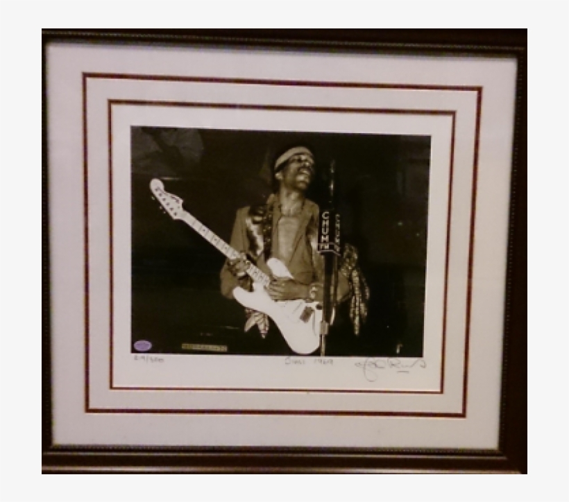 Picture Frame, transparent png #9505529