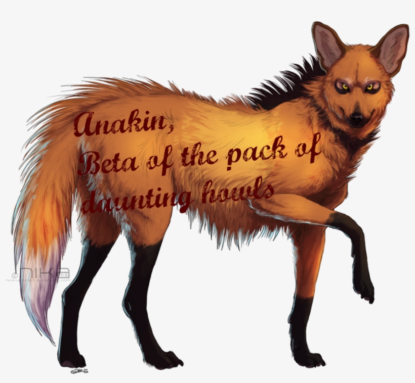 Anakin Png - Mane, transparent png #9506862