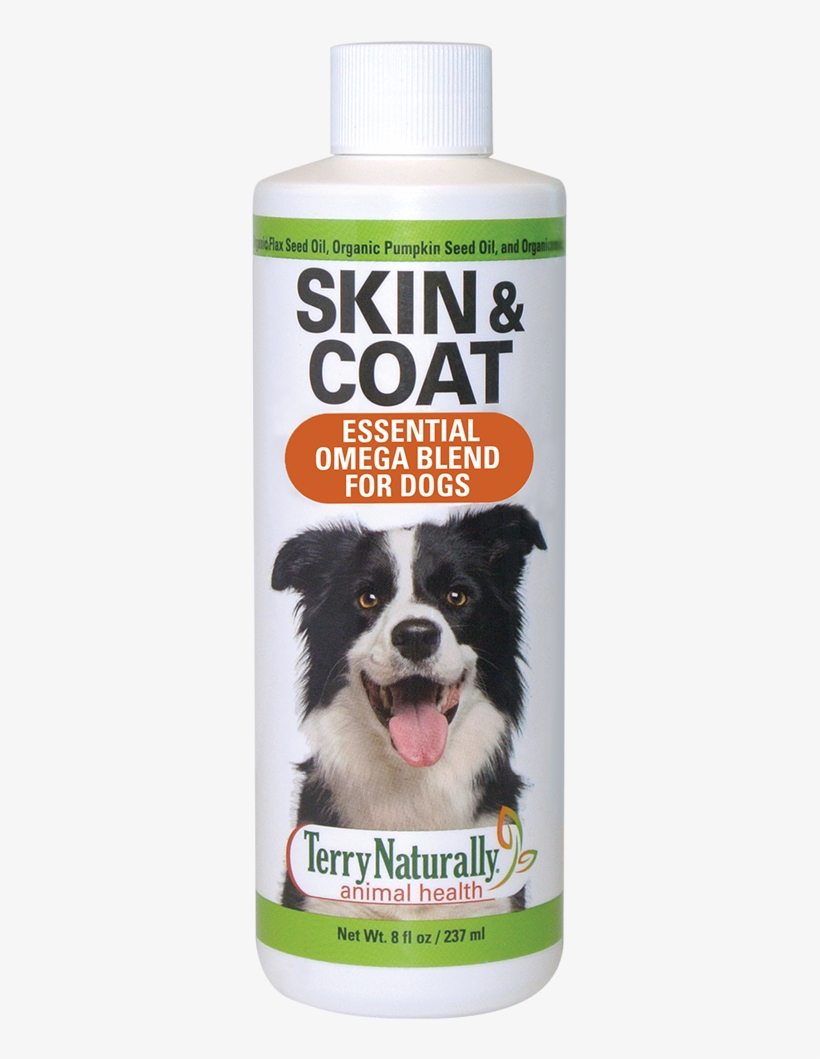 Border Collie, transparent png #9507759