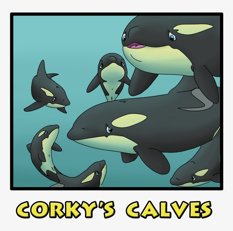 Orca Aware, transparent png #9507802