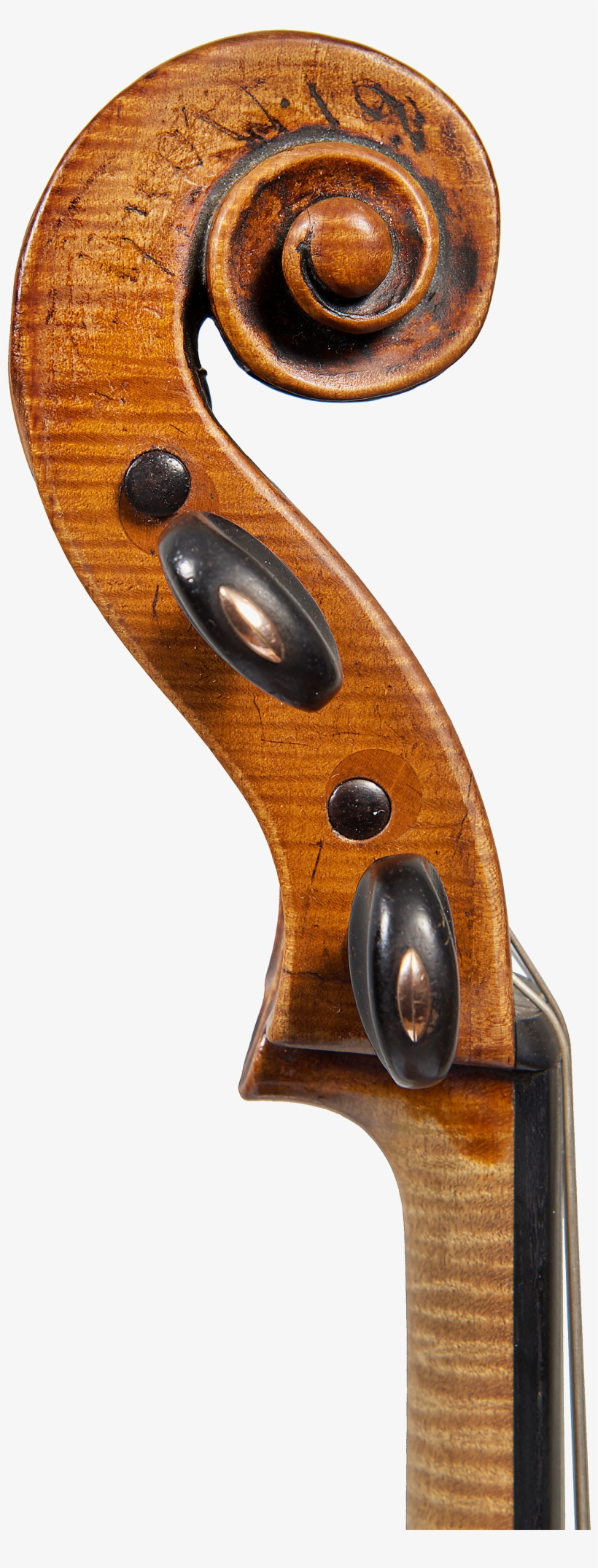 1 - Viola, transparent png #9508232