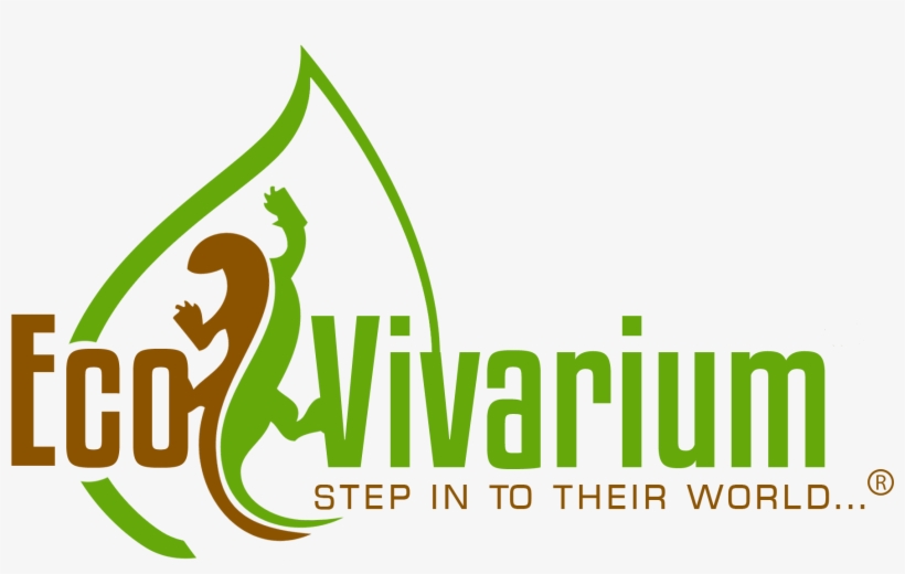 Eco Vivarium, transparent png #9508529