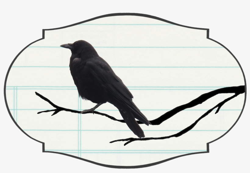 Crow On Branch Lined Rule Label - American Crow, transparent png #9509281