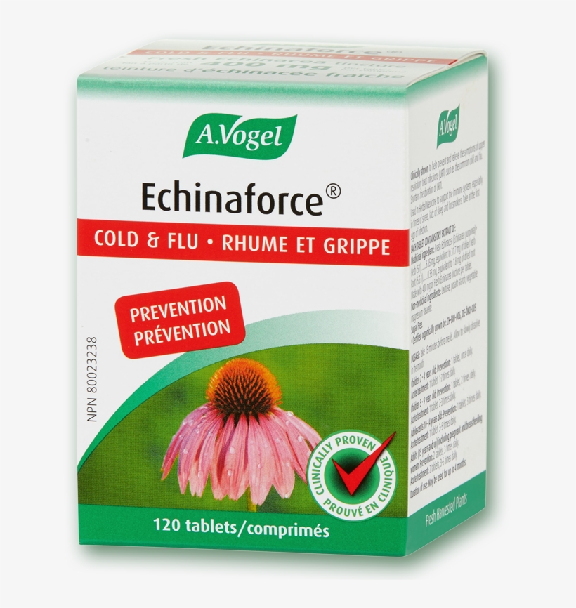 Made With 400 Mg Of Fresh Echinacea Tincture Per Tablet - Echinaforce Shoppers Drug Mart, transparent png #9510100