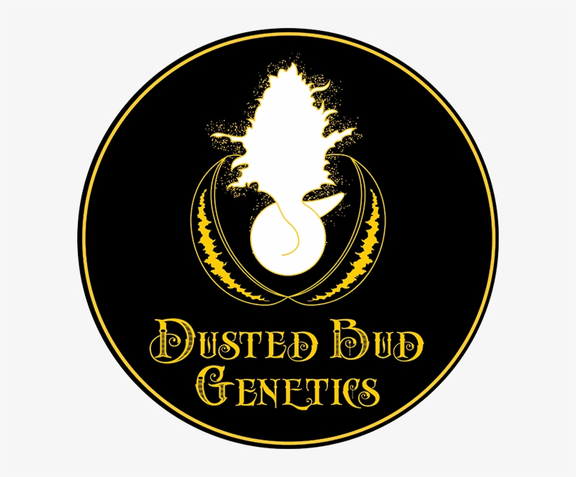 Dusted Bud Genetics - Sport Club Internacional, transparent png #9512055