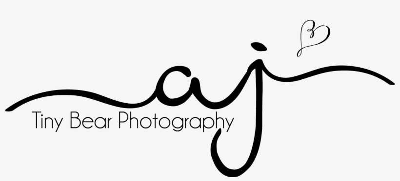 Tiny Bear Copy Logo - Photographer, transparent png #9513446
