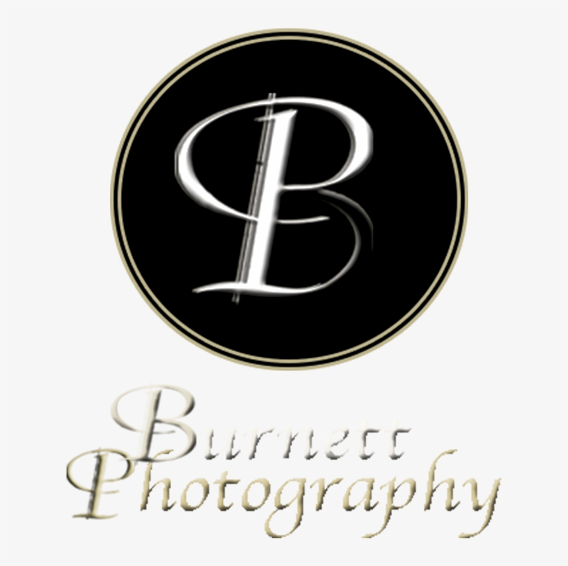 Previous Image - Graphic Design, transparent png #9513505