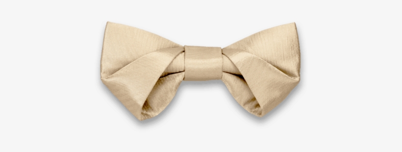 Folding In Champagne Gold Bow Tie - Formal Wear, transparent png #9514013