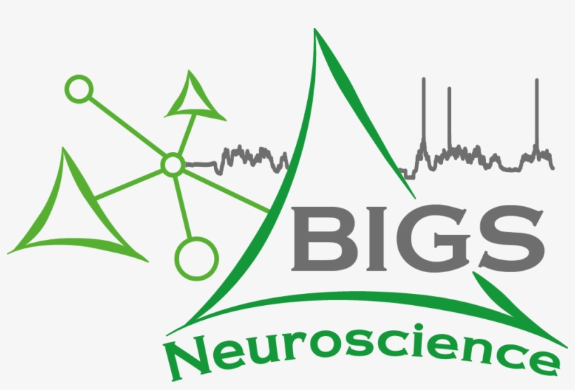 The Logo Here - Graphic Design, transparent png #9514507