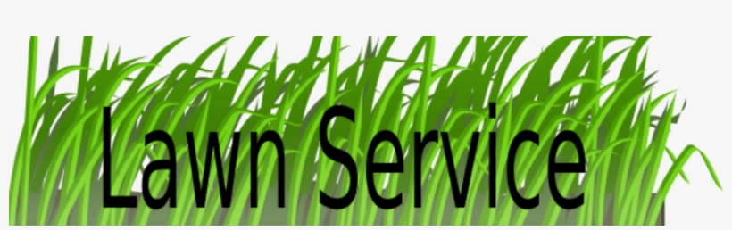 Lawn Service Business Basics What Not To Do - Grass, transparent png #9514738