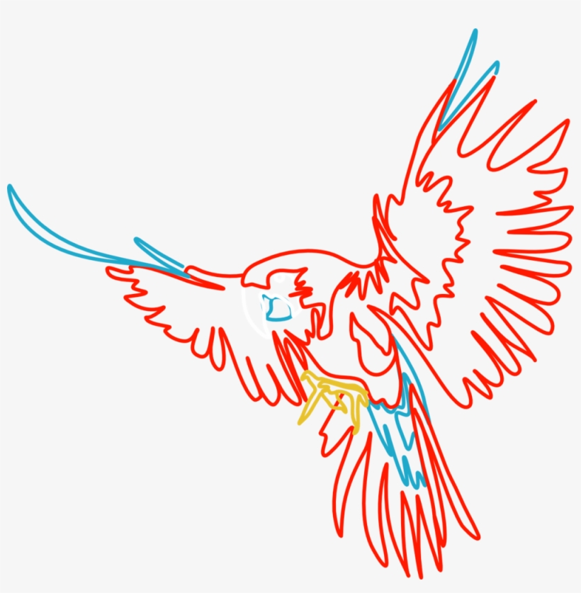 Parrot - Illustration, transparent png #9515834