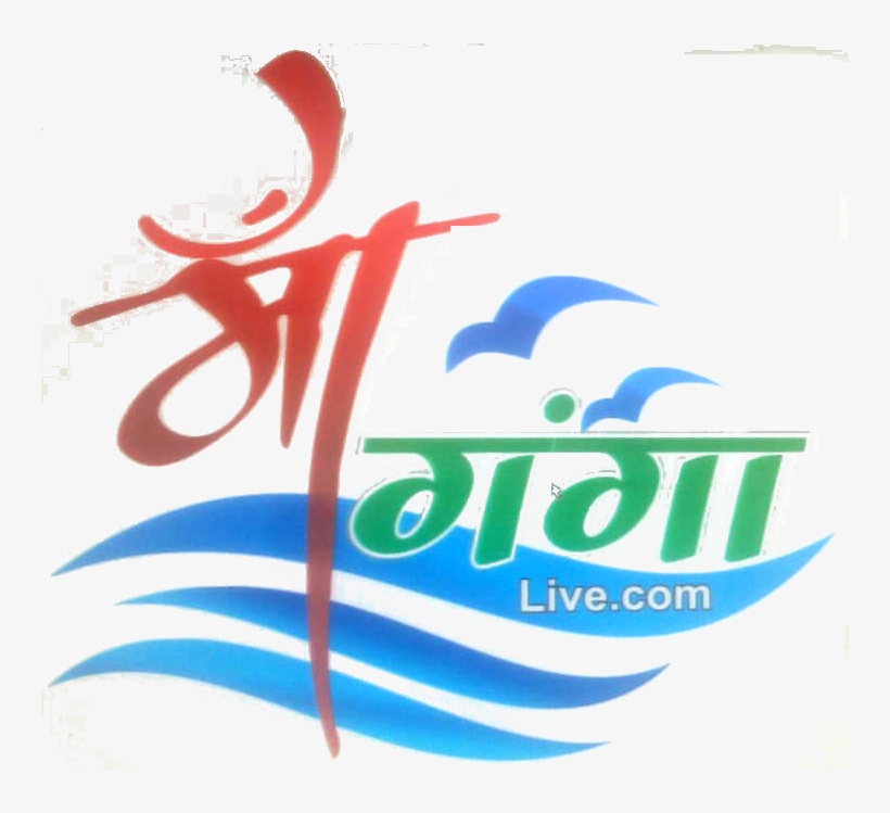 Caffeinated Drink, transparent png #9516658