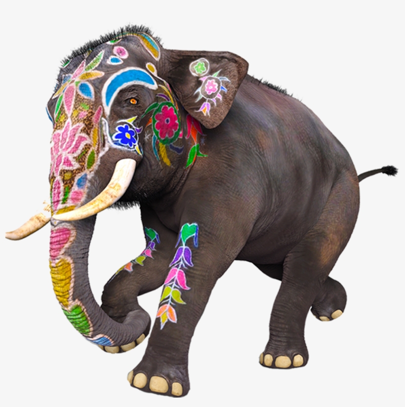 Hands On Workshops, Live Demos, Exhibition And Cake-craft - Indian Elephant, transparent png #9516856