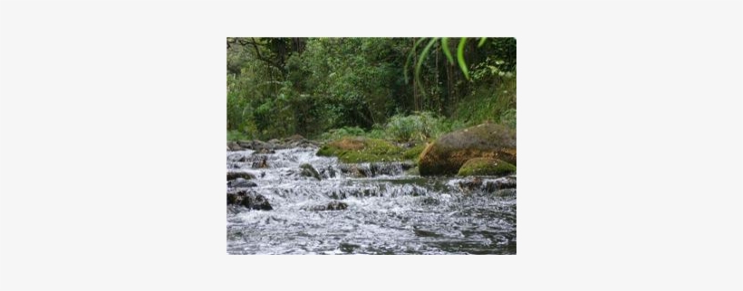 Hawaiian Home Nestled In Beauty Near Waterfalls - Tributary, transparent png #9517144