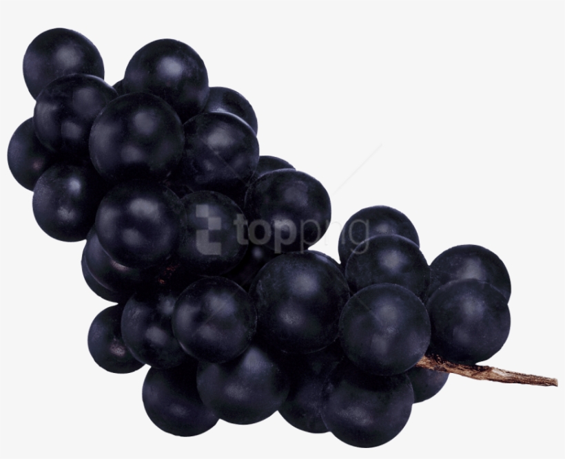 Free Png Download Black Grapes Png Images Background - Темный Виноград Png, transparent png #9517706