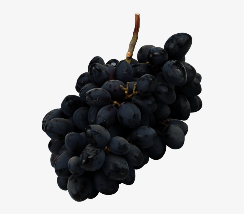 Red And Black Grapes - Seedless Fruit, transparent png #9517794
