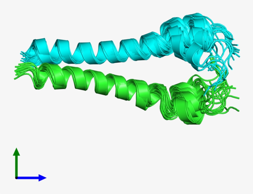 Pdb 2ka1 Coloured By Chain And Viewed From The Front, transparent png #9517960