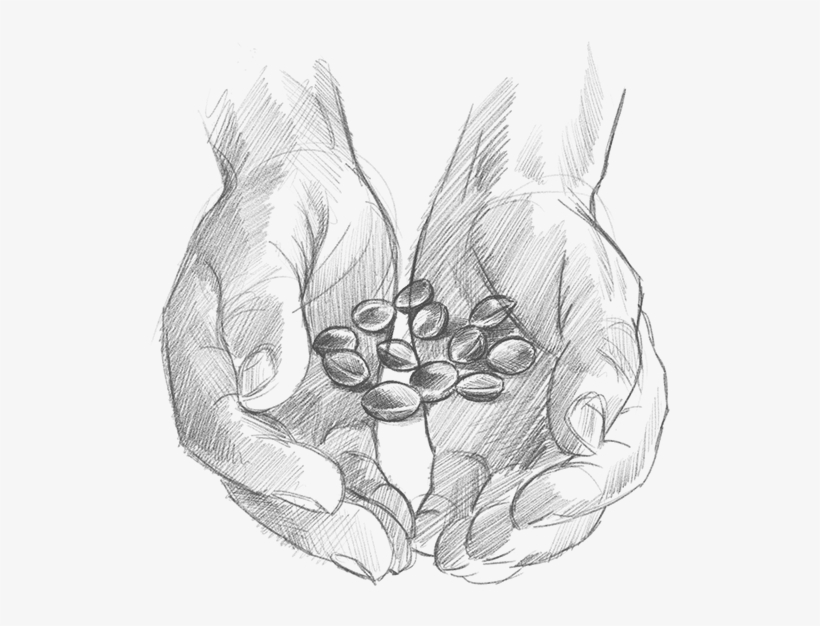 Our Story Begins With Caring Hands - Sketch, transparent png #9517997