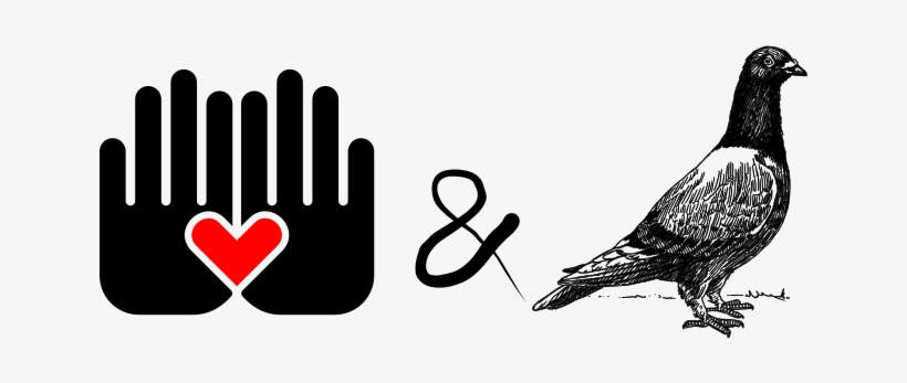 By Jagabas & Distabamba Production - Pigeons And Doves, transparent png #9519013