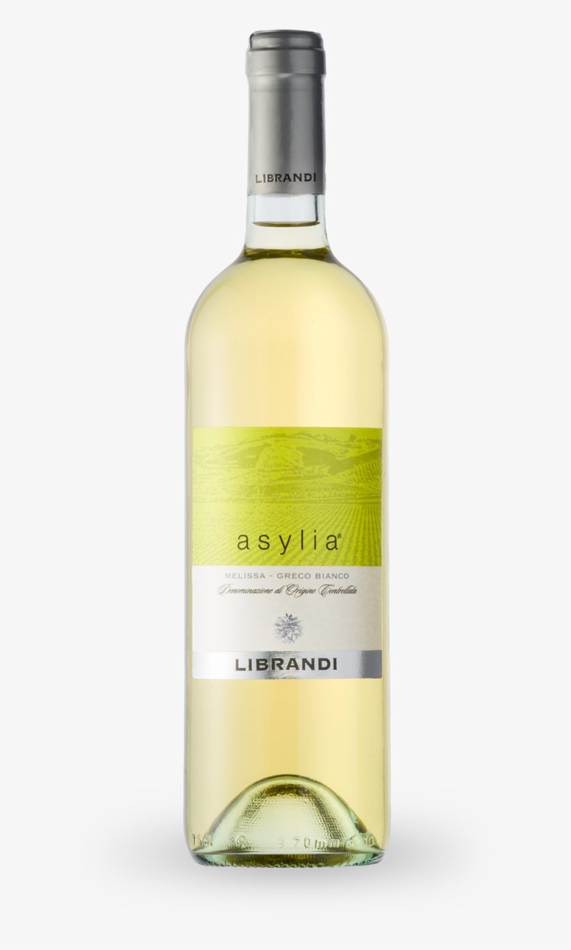 Asylia Bianco - Vini Bianchi Calabresi, transparent png #9519062