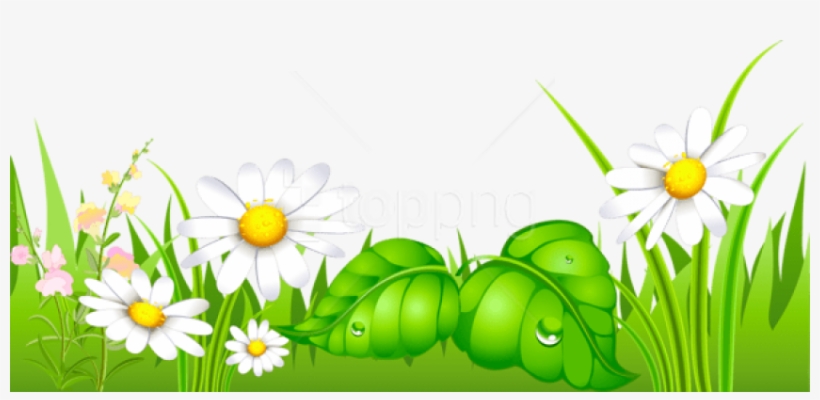 Free Png Download Grass With Daisies Ground Png Images - Happy New Year 2019 Odia, transparent png #9519914