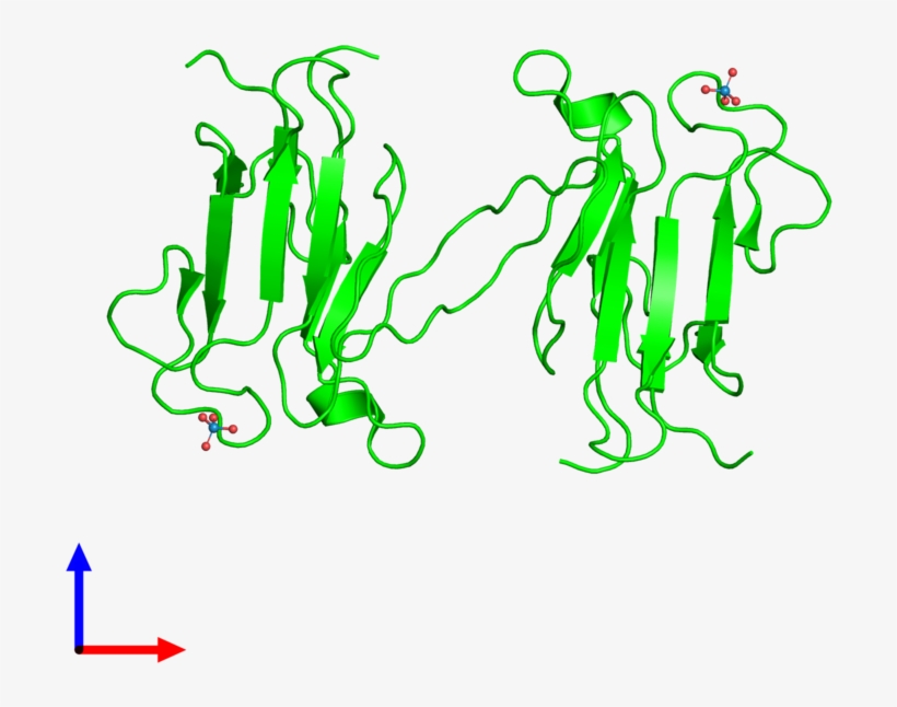 Assem - 1 - Chem - Dist - Mol - Front View - Illustration, transparent png #9520724