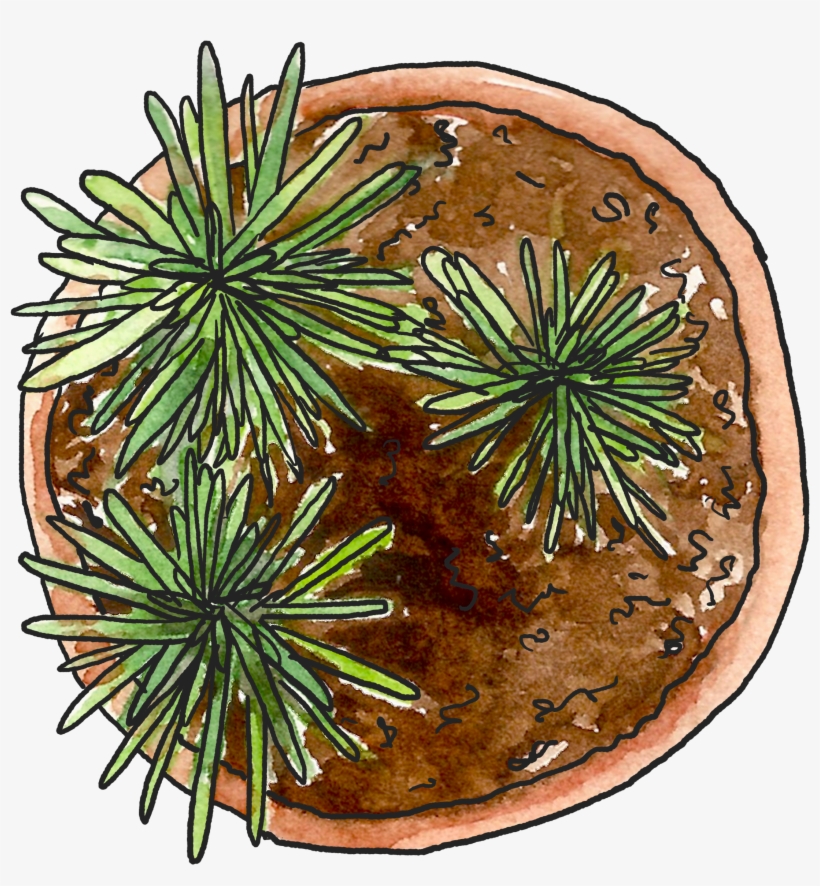 The Garden Party - Illustration, transparent png #9520864