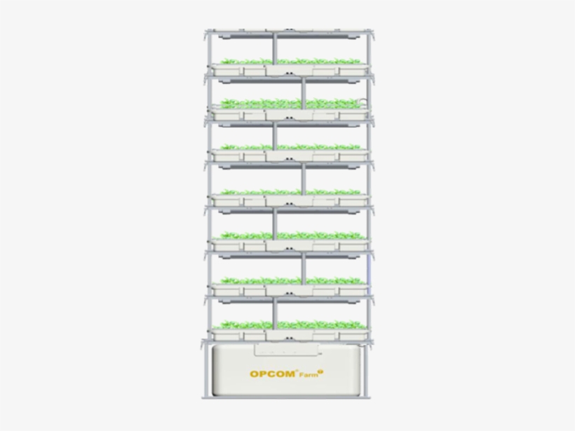 Shelf, transparent png #9520911