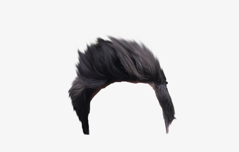 Cb Hair Png Picsart City Manipulation Background - American Crow - Free  Transparent PNG Download - PNGkey