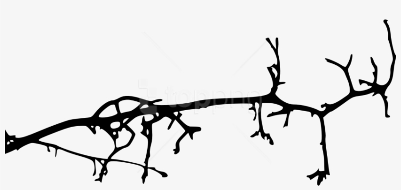 Free Png Simple Tree Branch Png - Branch, transparent png #9521295