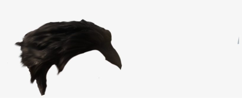 7) Hair Png (optional ) - Bat, transparent png #9521298