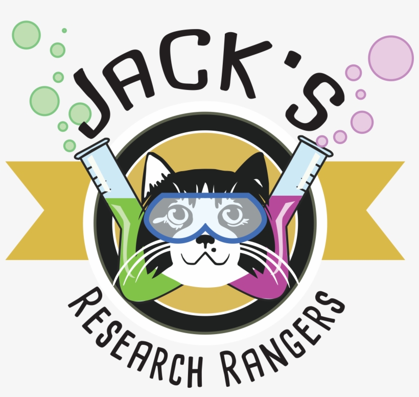 At Jack's Crackers, We're Always On The Lookout For - Jack’s Crackers, Llc, transparent png #9521865
