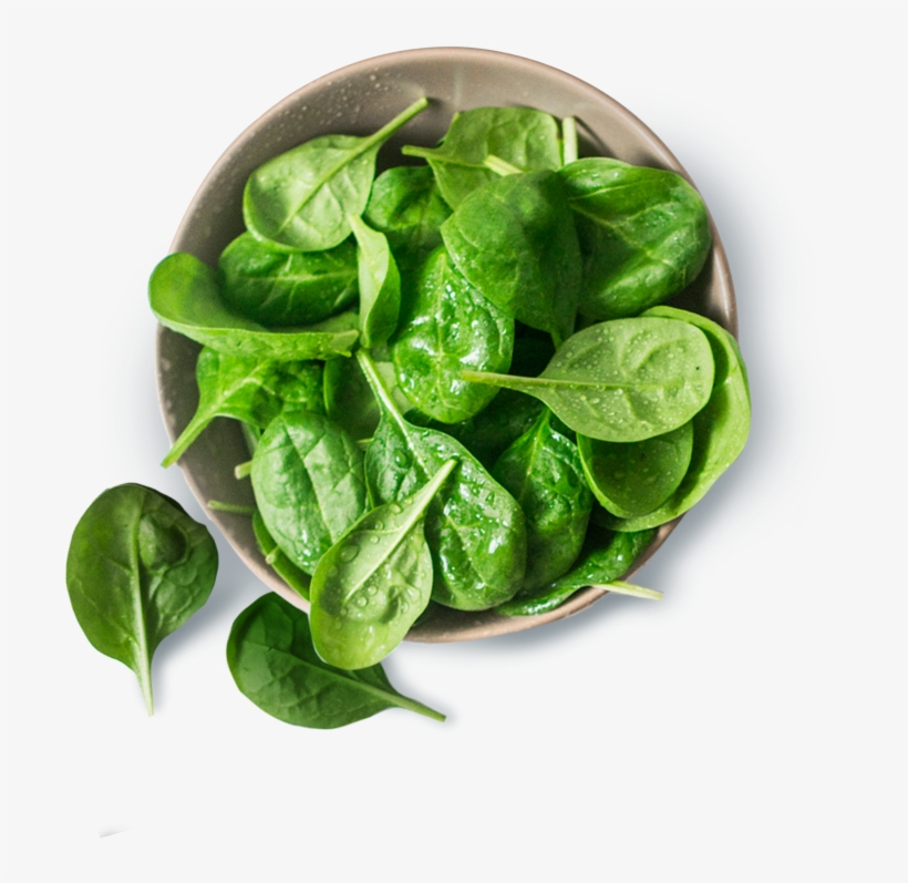 Spinach, transparent png #9521868