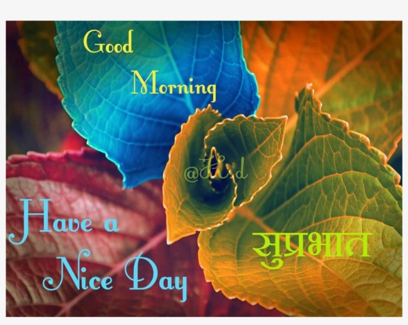 Good Morning Messages In Hindi, transparent png #9522153