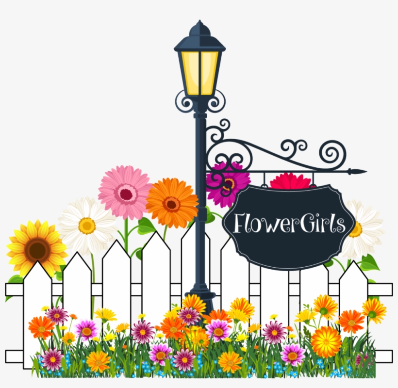 African Daisy, transparent png #9522469