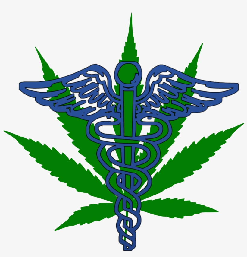Medical Doctor Png, transparent png #9523815