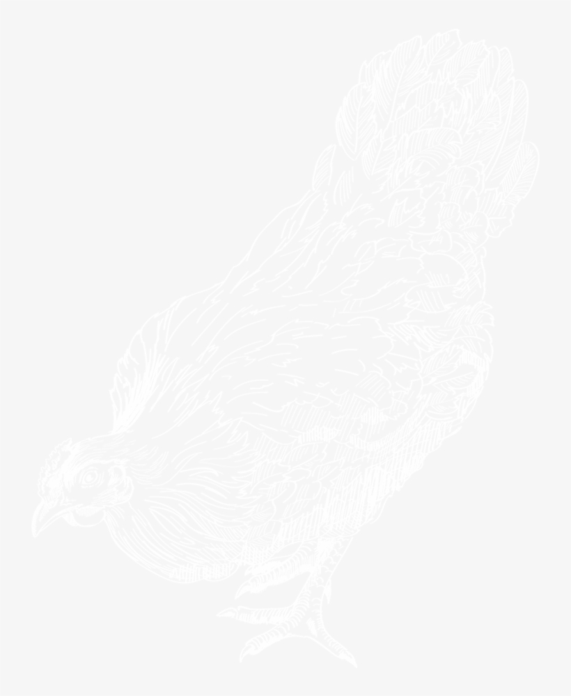 Chicken - Usgs Logo White, transparent png #9524801