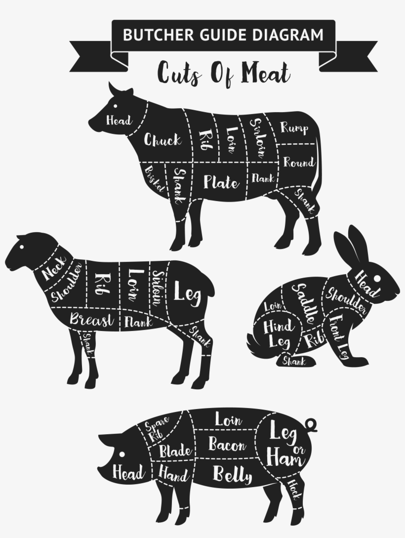 Tom's Live Market Provides Omaha, Ne And Surrounding - Meat Diagram, transparent png #9524830
